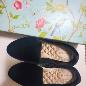 Birdies flats (the starling)